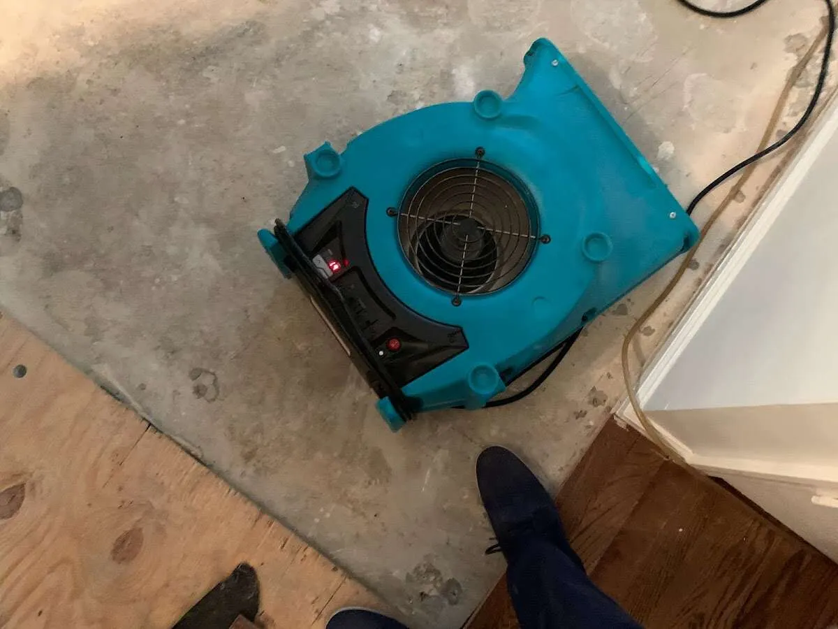Air mover drying subfloor during Leak Detection & Repair in Alexandria